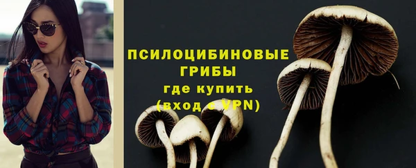 дживик Беломорск