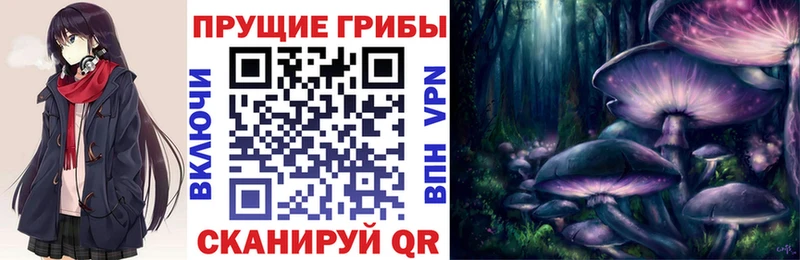 blacksprut ссылки  как найти закладки  Кушва  Псилоцибиновые грибы Psilocybe 